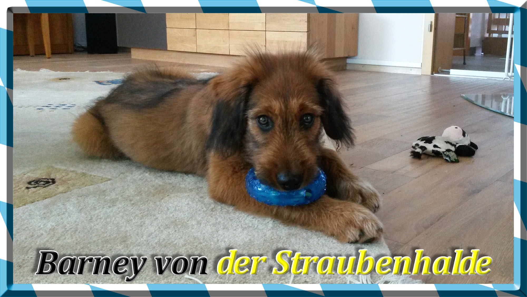 Wäller von der Straubenhalde